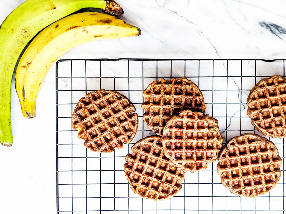 Flourless Plantain Waffles (AIP & Vegan)