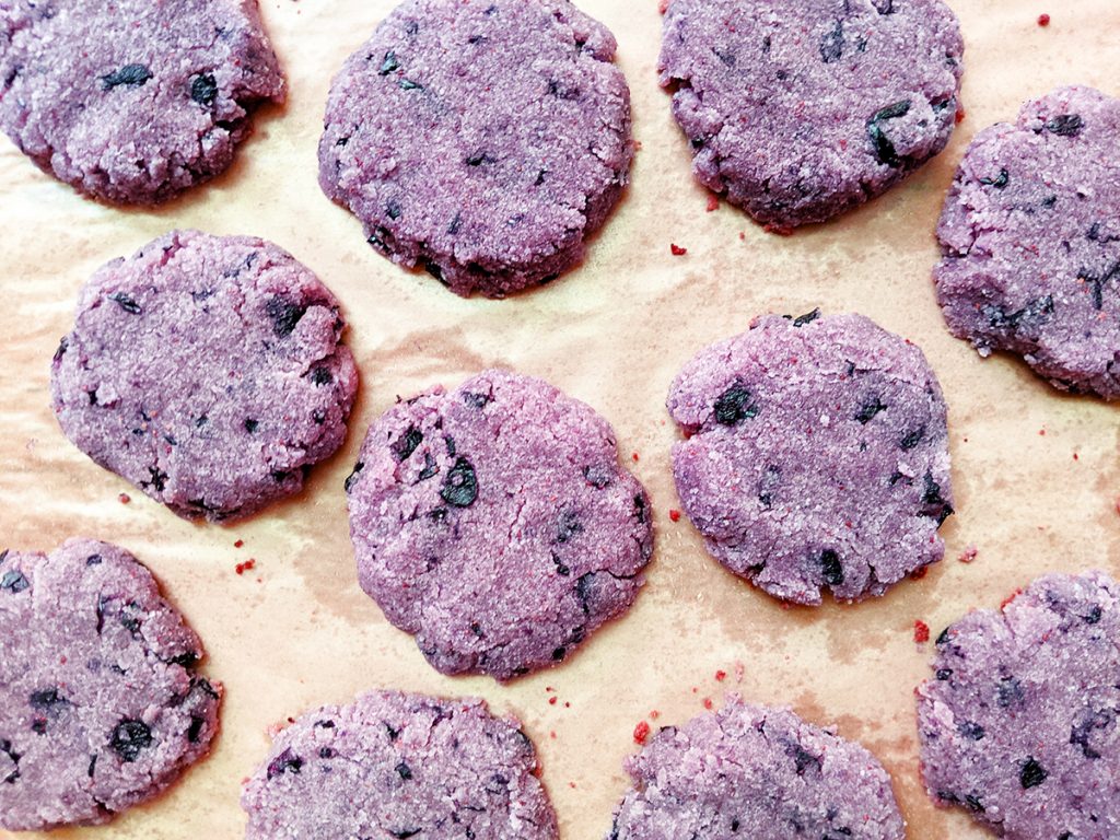 AIP Blueberry Cake Cookies (Top 8 Free) | The Open Cookbook