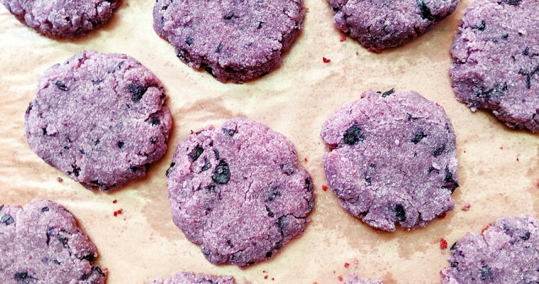 AIP Blueberry Cake Cookies (Top 8 Free)